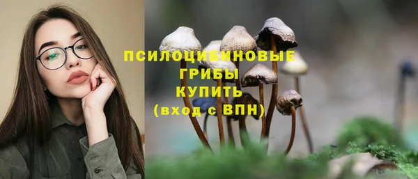 экстази Гусь-Хрустальный