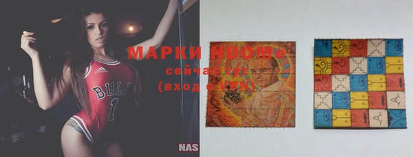 хмурый Гусев