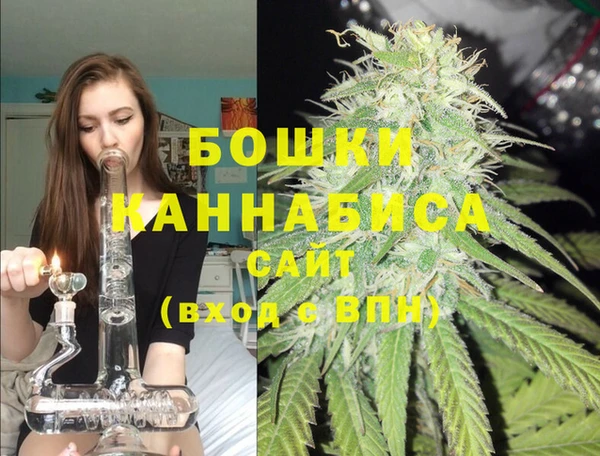 экстази Гусь-Хрустальный