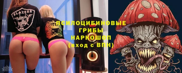 хмурый Гусев