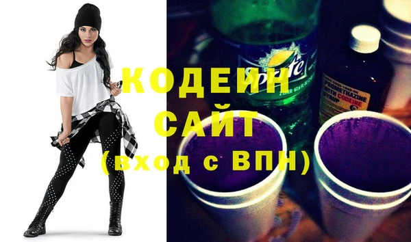 хмурый Гусев