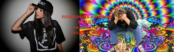 экстази Гусь-Хрустальный