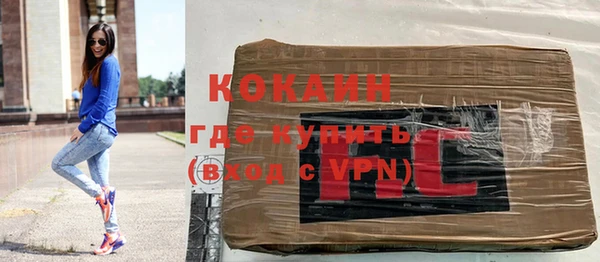 хмурый Гусев